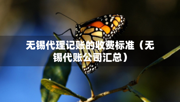 無(wú)錫代理記賬的收費(fèi)標(biāo)準(zhǔn)（無(wú)錫代賬公司匯總）