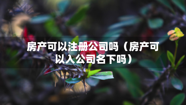 房產(chǎn)可以注冊(cè)公司嗎（房產(chǎn)可以入公司名下嗎）