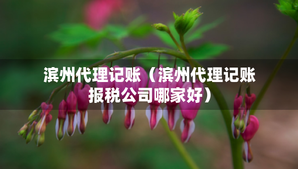 濱州代理記賬（濱州代理記賬報(bào)稅公司哪家好）