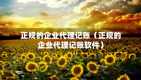 正規(guī)的企業(yè)代理記賬（正規(guī)的企業(yè)代理記賬軟件）