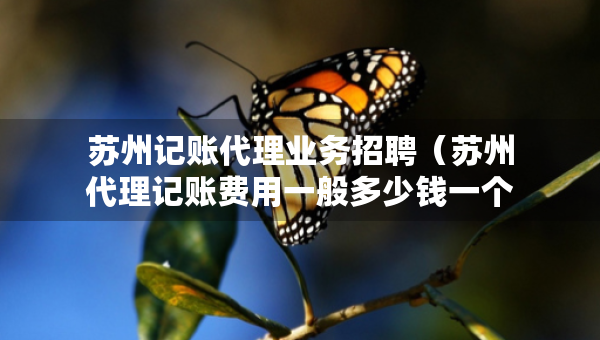 蘇州記賬代理業(yè)務(wù)招聘（蘇州代理記賬費用一般多少錢一個月）