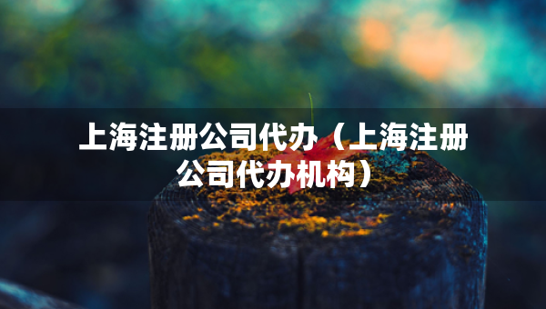 上海注冊(cè)公司代辦（上海注冊(cè)公司代辦機(jī)構(gòu)）