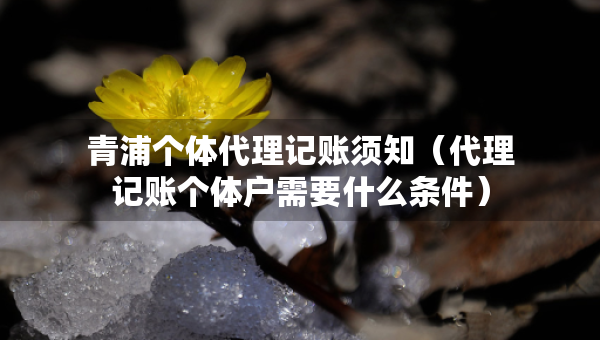 青浦個(gè)體代理記賬須知（代理記賬個(gè)體戶需要什么條件）