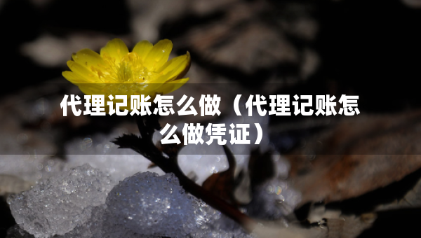 代理記賬怎么做（代理記賬怎么做憑證）