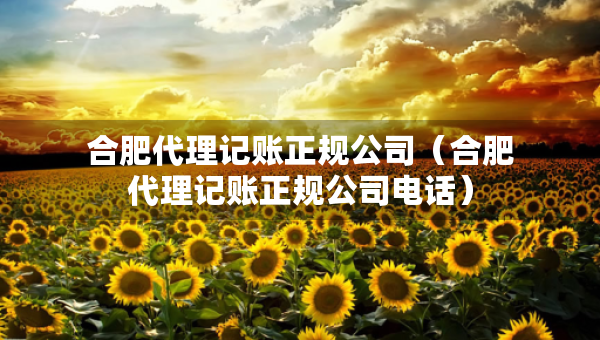 合肥代理記賬正規(guī)公司（合肥代理記賬正規(guī)公司電話）