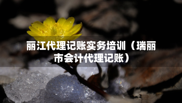 麗江代理記賬實務(wù)培訓(xùn)（瑞麗市會計代理記賬）