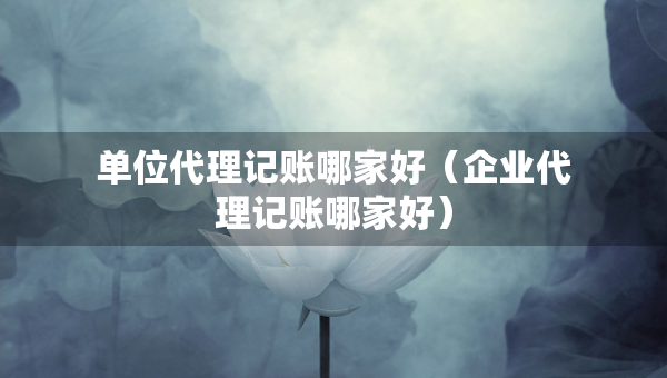 單位代理記賬哪家好（企業(yè)代理記賬哪家好）