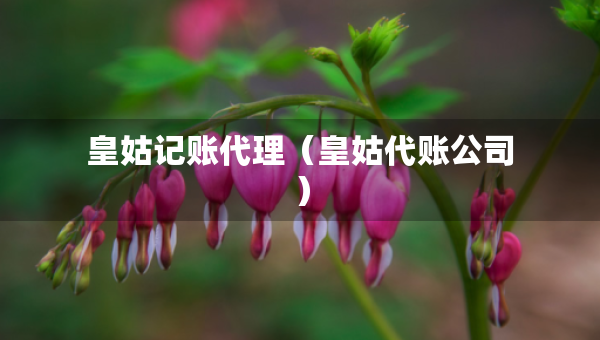 皇姑記賬代理（皇姑代賬公司）