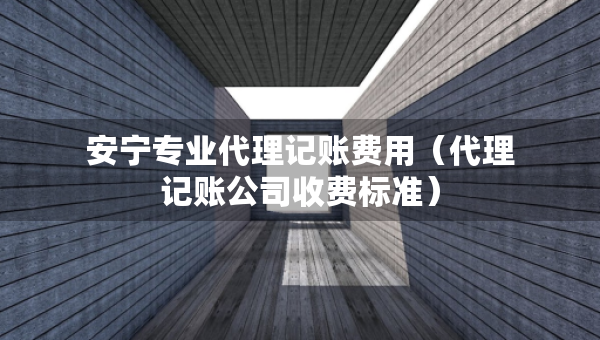 安寧專業(yè)代理記賬費用（代理記賬公司收費標(biāo)準(zhǔn)）