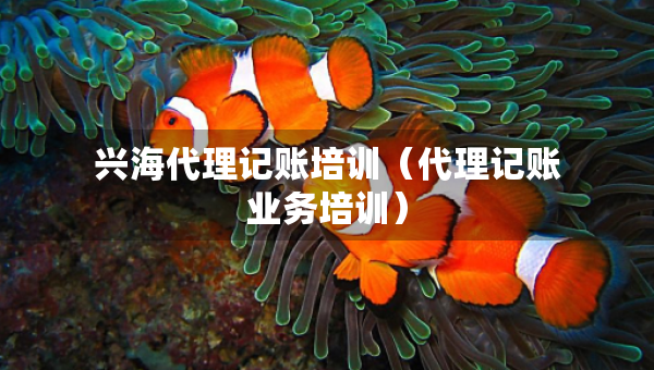 興海代理記賬培訓（代理記賬業(yè)務培訓）