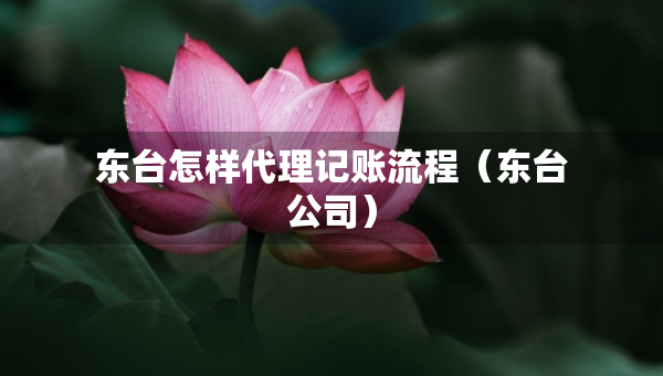 東臺(tái)怎樣代理記賬流程（東臺(tái)公司）