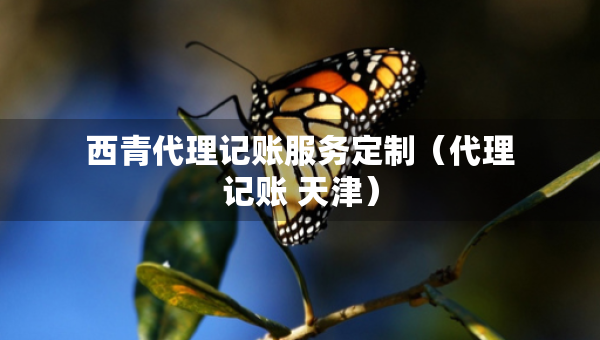 西青代理記賬服務(wù)定制（代理記賬 天津）