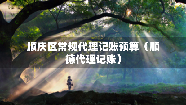 順慶區(qū)常規(guī)代理記賬預(yù)算（順德代理記賬）