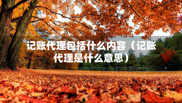 記賬代理包括什么內(nèi)容（記賬代理是什么意思）