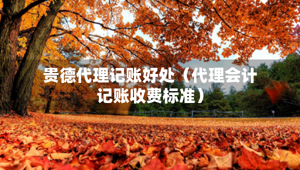 貴德代理記賬好處（代理會(huì)計(jì)記賬收費(fèi)標(biāo)準(zhǔn)）