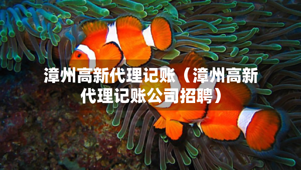 漳州高新代理記賬（漳州高新代理記賬公司招聘）