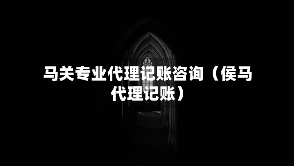 馬關(guān)專業(yè)代理記賬咨詢（侯馬代理記賬）