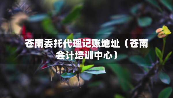 蒼南委托代理記賬地址（蒼南會(huì)計(jì)培訓(xùn)中心）