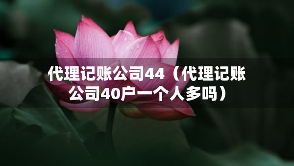 代理記賬公司44（代理記賬公司40戶(hù)一個(gè)人多嗎）