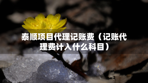 泰順項(xiàng)目代理記賬費(fèi)（記賬代理費(fèi)計(jì)入什么科目）