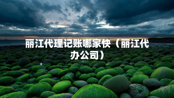 麗江代理記賬哪家快（麗江代辦公司）