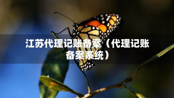 江蘇代理記賬備案（代理記賬備案系統(tǒng)）