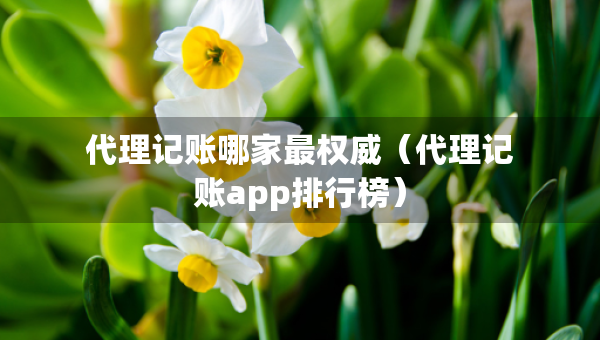 代理記賬哪家最權(quán)威（代理記賬app排行榜）