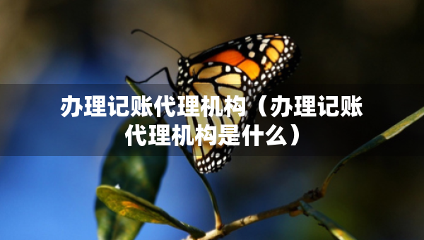 辦理記賬代理機(jī)構(gòu)（辦理記賬代理機(jī)構(gòu)是什么）