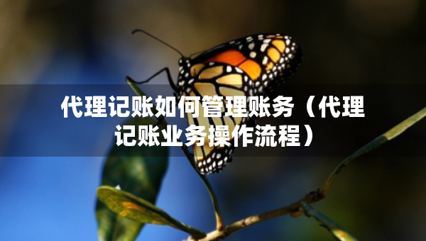 代理記賬如何管理賬務(wù)（代理記賬業(yè)務(wù)操作流程）