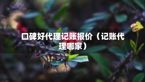 口碑好代理記賬報價（記賬代理哪家）