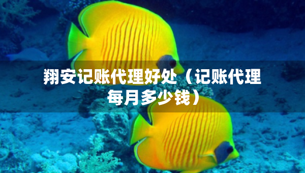 翔安記賬代理好處（記賬代理每月多少錢）