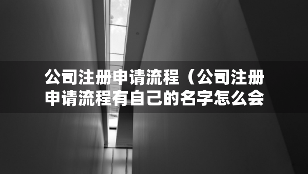 公司注冊申請流程（公司注冊申請流程有自己的名字怎么會怎么樣）