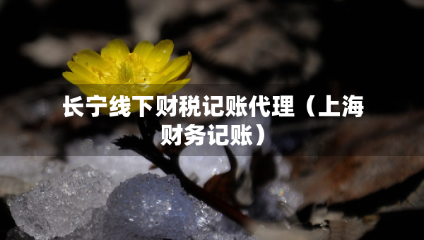 長寧線下財稅記賬代理（上海財務(wù)記賬）