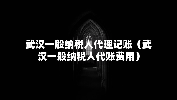 武漢一般納稅人代理記賬（武漢一般納稅人代賬費(fèi)用）