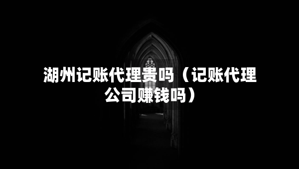 湖州記賬代理貴嗎（記賬代理公司賺錢嗎）