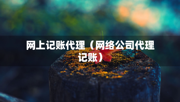 網(wǎng)上記賬代理（網(wǎng)絡(luò)公司代理記賬）