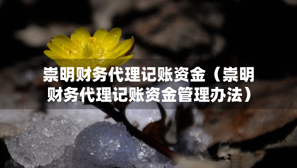 崇明財(cái)務(wù)代理記賬資金（崇明財(cái)務(wù)代理記賬資金管理辦法）