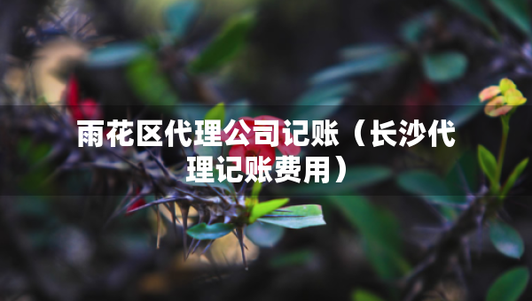 雨花區(qū)代理公司記賬（長沙代理記賬費用）