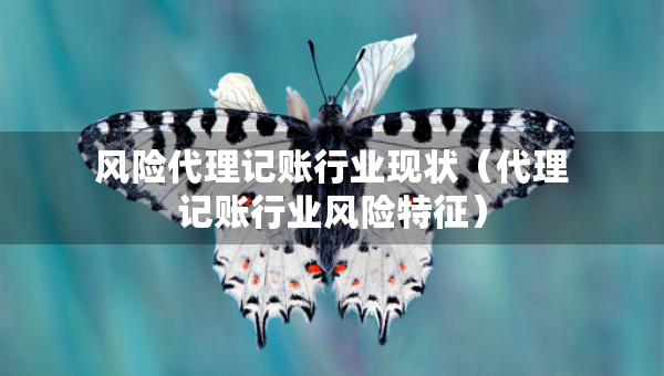 風(fēng)險(xiǎn)代理記賬行業(yè)現(xiàn)狀（代理記賬行業(yè)風(fēng)險(xiǎn)特征）