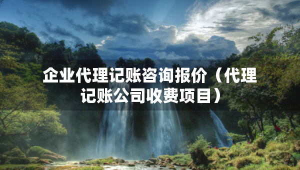 企業(yè)代理記賬咨詢報價（代理記賬公司收費項目）