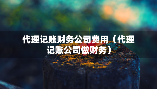 代理記賬財(cái)務(wù)公司費(fèi)用（代理記賬公司做財(cái)務(wù)）