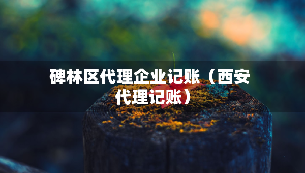 碑林區(qū)代理企業(yè)記賬（西安 代理記賬）