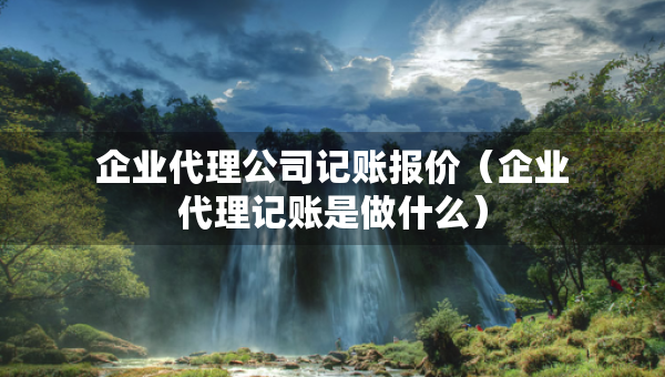 企業(yè)代理公司記賬報(bào)價(jià)（企業(yè)代理記賬是做什么）