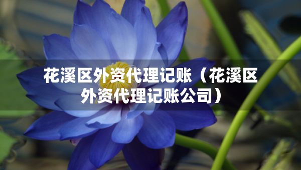 花溪區(qū)外資代理記賬（花溪區(qū)外資代理記賬公司）