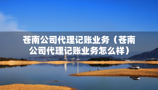 蒼南公司代理記賬業(yè)務(wù)（蒼南公司代理記賬業(yè)務(wù)怎么樣）