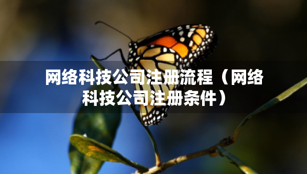 網(wǎng)絡(luò)科技公司注冊(cè)流程（網(wǎng)絡(luò)科技公司注冊(cè)條件）