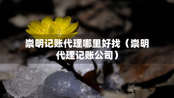 崇明記賬代理哪里好找（崇明代理記賬公司）