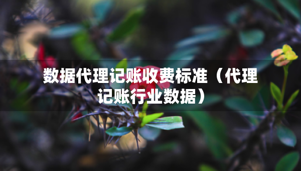 數(shù)據(jù)代理記賬收費(fèi)標(biāo)準(zhǔn)（代理記賬行業(yè)數(shù)據(jù)）