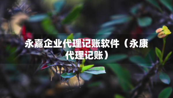 永嘉企業(yè)代理記賬軟件（永康代理記賬）