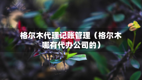 格爾木代理記賬管理（格爾木哪有代辦公司的）